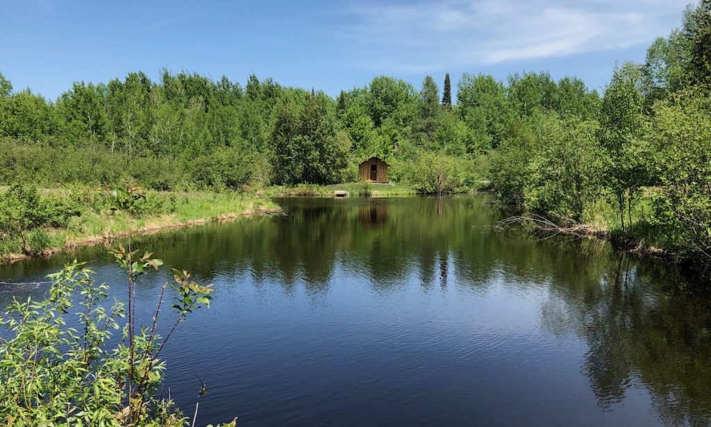 Kasco Spring Pond Management