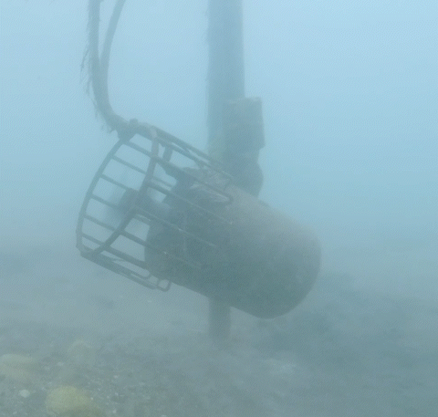 Kasco AquatiClear Underwater De-Icer
