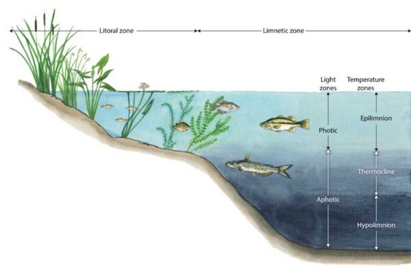 Pond & Lake Zone Identification - Kasco Marine