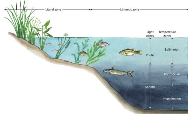 Kasco Marine Pond & Lake Zone Identification