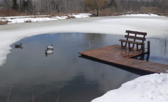 Fish Worried to Death Over Winter