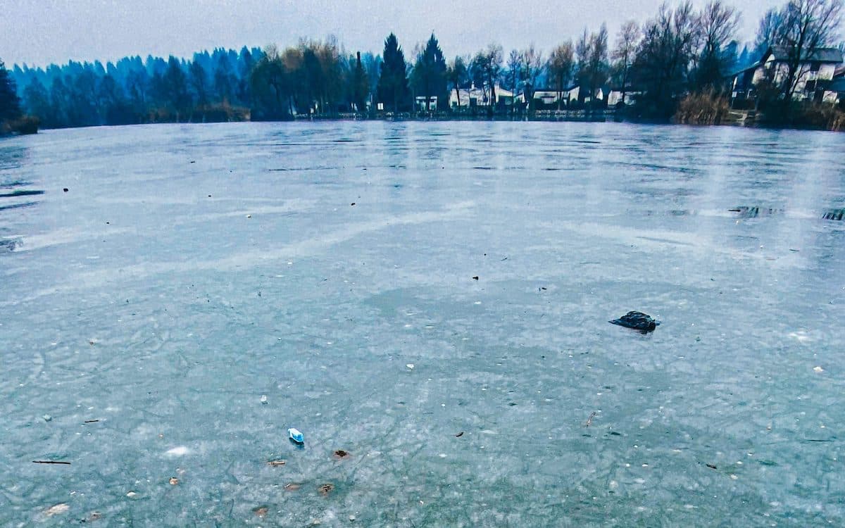 Frozen Pond in Winter