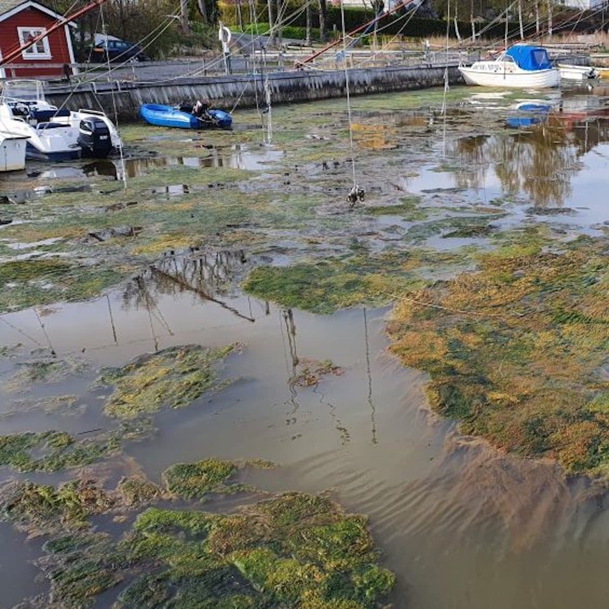 Norway AquatiClear