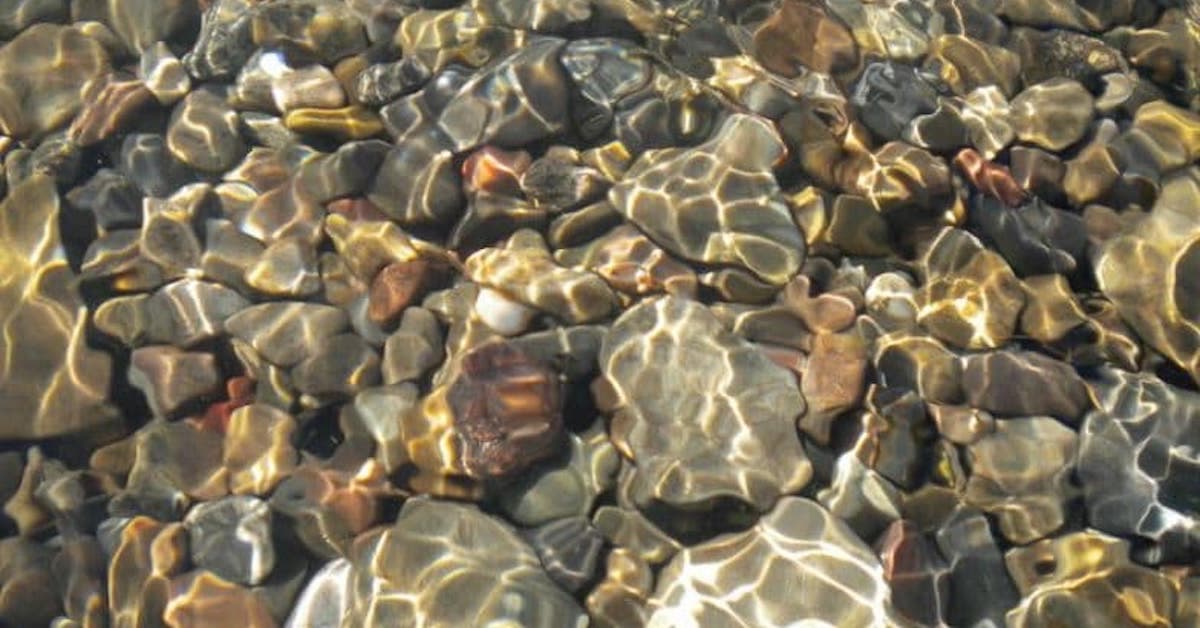 Pond botten typer och din fisk Habitat