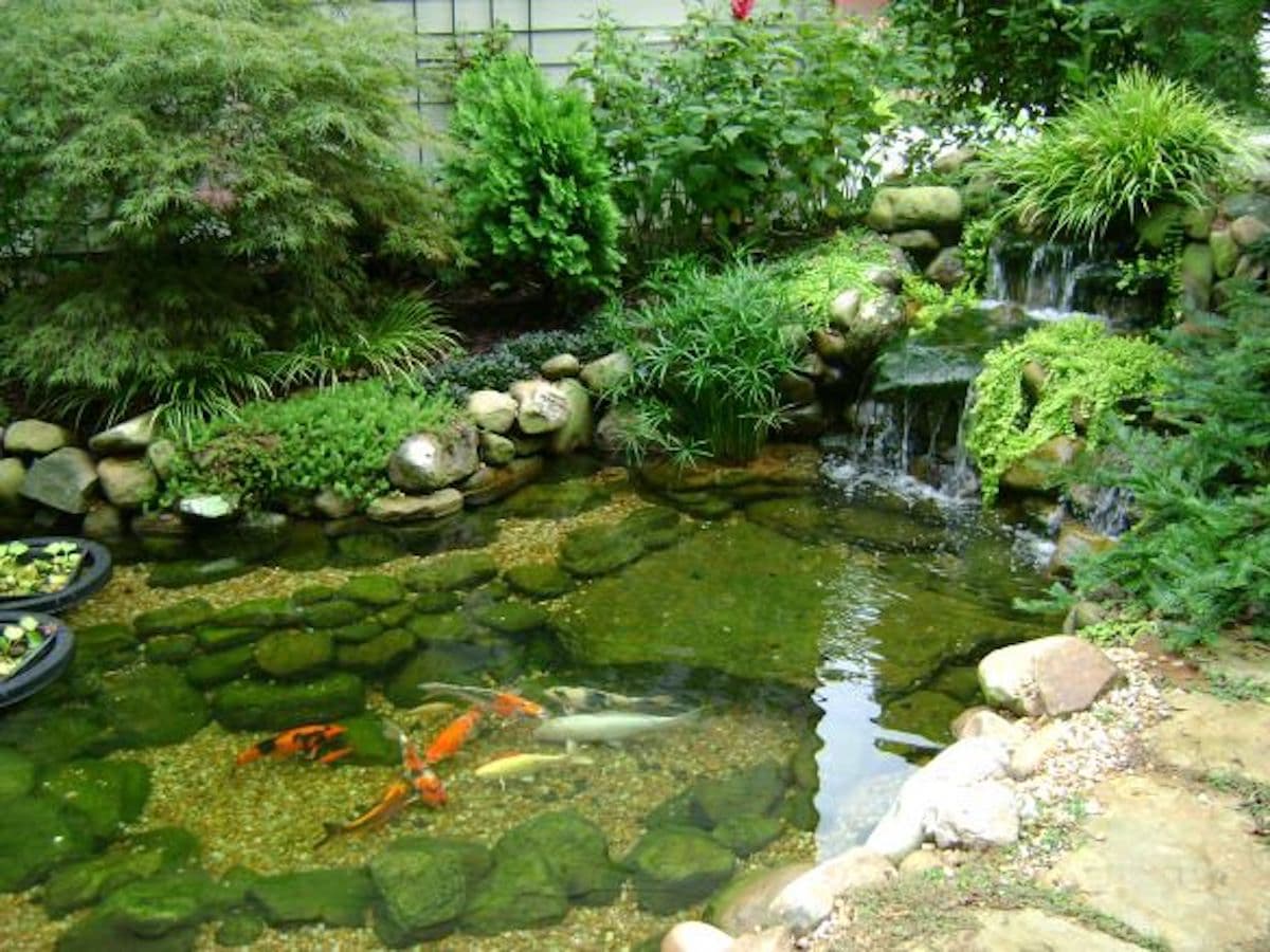 Backyard Boat Pond - SIMPLE DECORATING TIPS