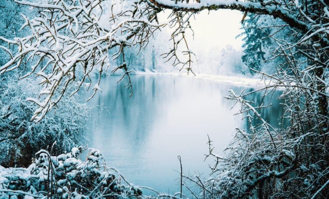 Pond in Winter