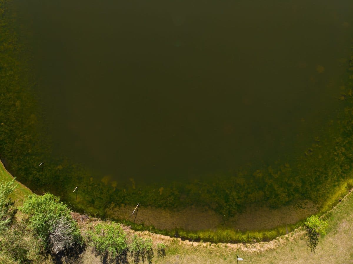 Practical Guide on Pond Sludge