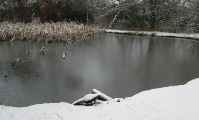 Preparing Pond for Winter