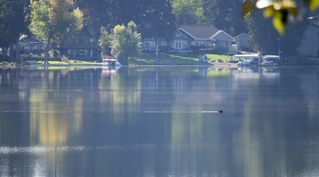 Prevent a Smelly Pond