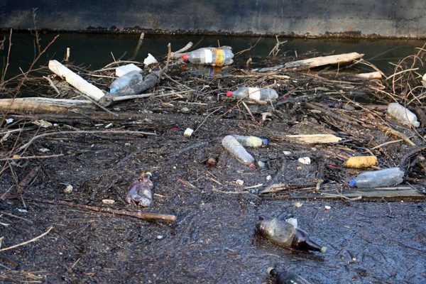 Smell Ya Never! How to Prevent a Smelly Pond or Lake Shorefront | Kasco