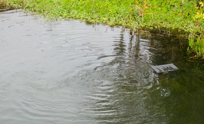 Transform Standing Water