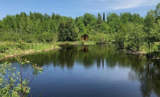 What Do You Love About Your Pond?