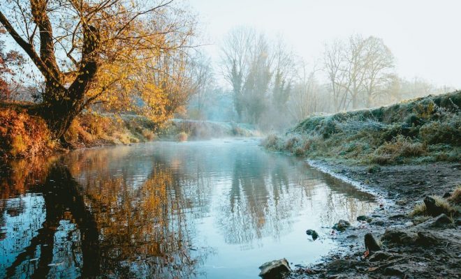 Winter Pond