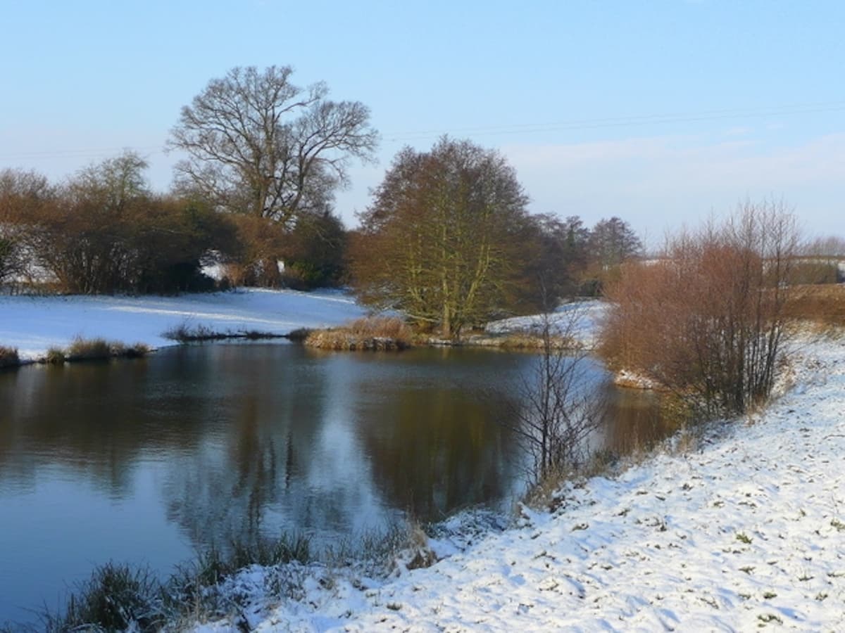 Winter Pond Scene