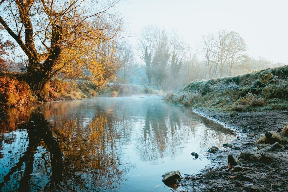 Winter Pond